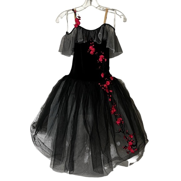 Revolution Dance BREATHTAKING
RC23880 Dress Tulle Skirt SA Small Adult - Picture 9 of 16